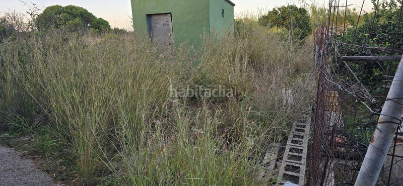 Foto 02304587-d802-44fd-83c1-9be2cd317c62. Finca rústica a El Palmar - Los Molinos Dénia