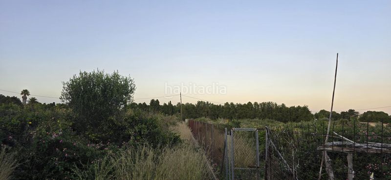 Foto 055ab783-2bc3-4f43-97d9-d04a3c6c3d33. Finca rústica a El Palmar - Los Molinos Dénia