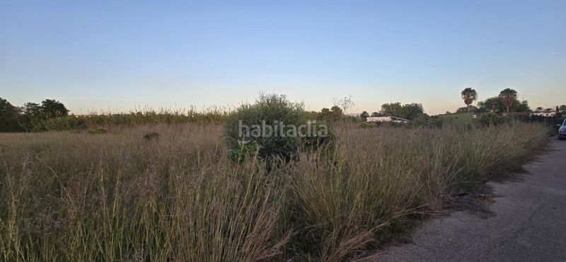 Foto 406e5d6a-26e3-40dd-8431-5fcf8c57b300. Finca rústica a El Palmar - Los Molinos Dénia