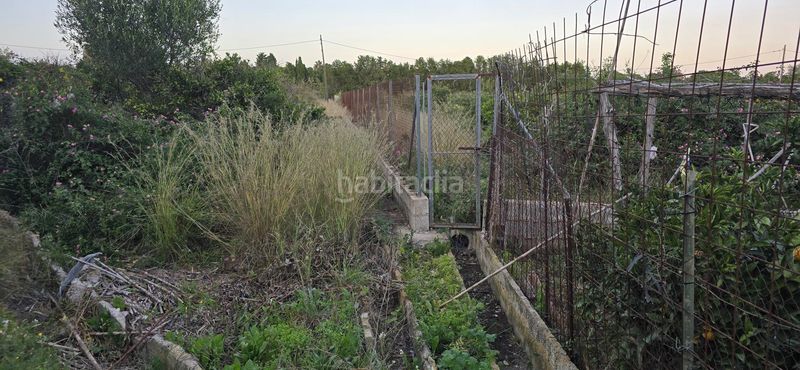 Foto 49072e0b-c932-47b0-8fea-1db1d0c724d0. Finca rústica a El Palmar - Los Molinos Dénia