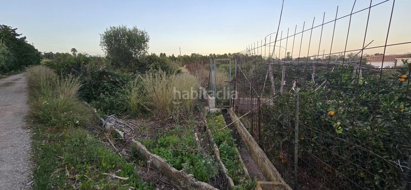 Foto 94698d04-9377-4fef-85b3-db6508dd6e91. Finca rústica a El Palmar - Los Molinos Dénia