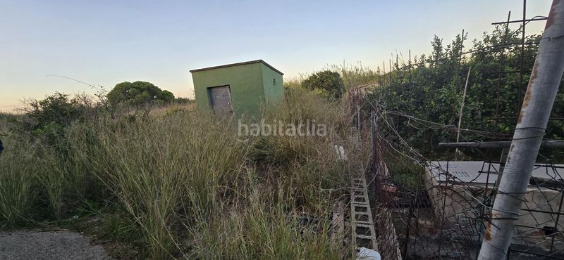 Foto a4f29180-56f4-4081-9a60-978c4937de87. Finca rústica a El Palmar - Los Molinos Dénia