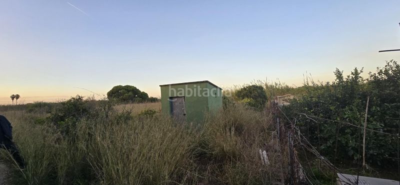 Foto db9f3efb-0c46-46ca-b0f3-7316bbcb4360. Finca rústica a El Palmar - Los Molinos Dénia