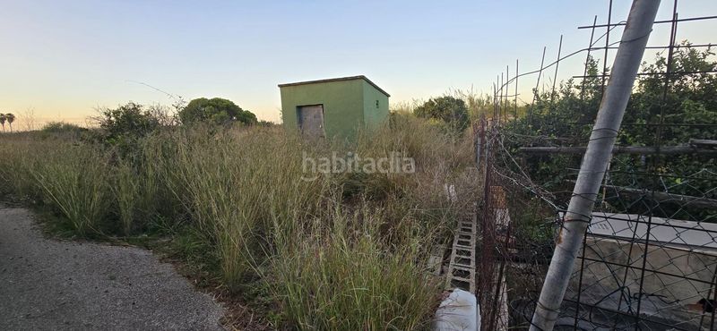 Foto f2789a38-1e6a-42ec-8ac1-720316e9bda7. Finca rústica a El Palmar - Los Molinos Dénia