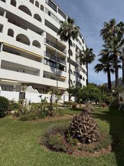 Pis a C. Orquídeas Las