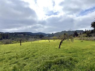 Bauernhof  Diseminado berri