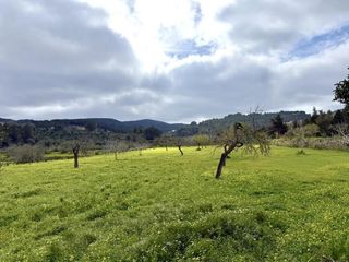 Masía  Diseminado berri