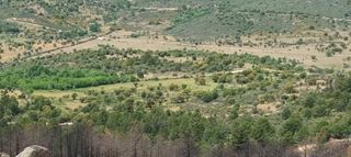 Fondo rustico  P.º de la dehesa del valle