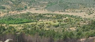 Rural plot  P.º de la dehesa del valle