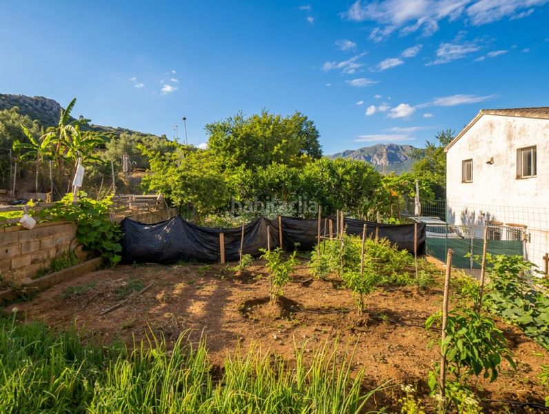 Foto a47921ae-75b1-4ea9-8a1b-3ec2b9779304. Casa amb calefacció aparcament a Simat de la Valldigna