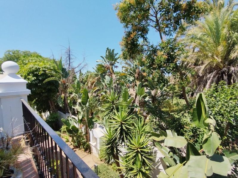 Foto d18ee03f-b304-4d63-85b8-c2924dd99d1a. Pis amb calefacció aparcament piscina a Nagüeles Alto Marbella