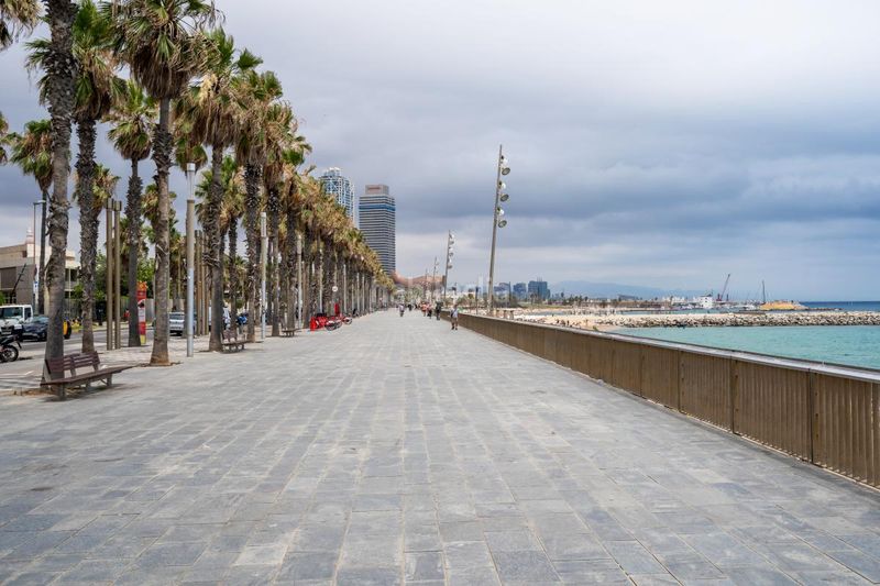 Foto 5907f4d2-b8d7-486d-8675-095fa5f19820. Pis amb calefacció a Barceloneta Barcelona