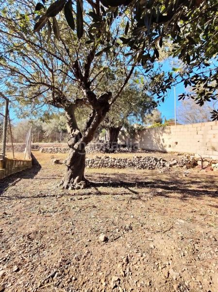 Foto 28ea9337-d0b8-4035-a763-d5c535b8c597. Casa amb calefacció aparcament a Parcent