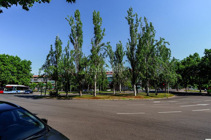 Foto 08680e97-fe8f-4a52-877f-4acf9a184429. Planta baixa amb calefacció a Pinar del Rey Madrid