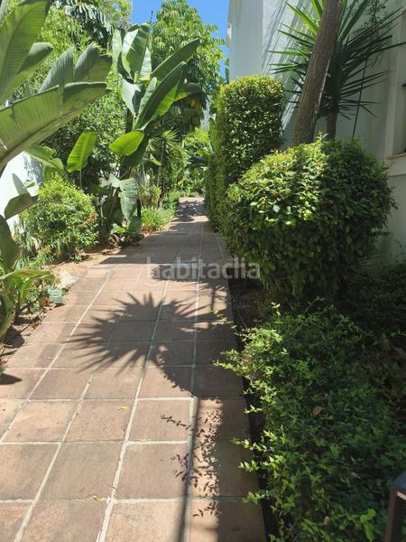 Foto 4d7f294b-dc4c-4872-b0b2-56fdb71a6412. Planta baixa amb calefacció aparcament piscina a Marbella