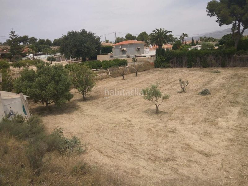 Foto f472dc9e-b1c0-4554-bc7a-136f8864004a. Finca rústica a Jubalcoi Elche / Elx