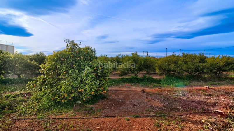 Foto e6b6512e-9f8a-43ad-b9b9-aa2aa71005e9. Xalet amb calefacció aparcament a Los Pinares-La Masia Bétera