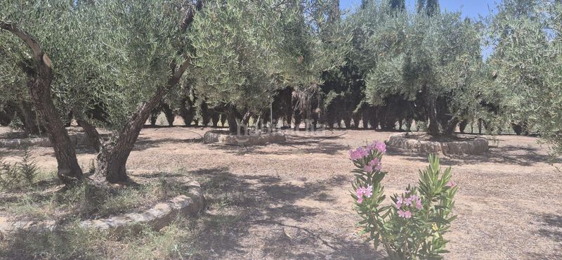 Foto 0c9eb04d-964c-4179-9053-e41705862cd7. Masia amb calefacció piscina a Cúllar