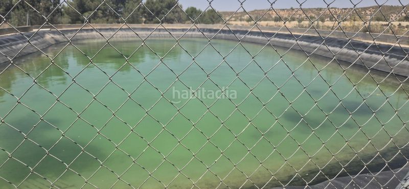 Foto ac71dadf-5025-48dd-867a-ff2d89321a00. Masia amb calefacció piscina a Cúllar