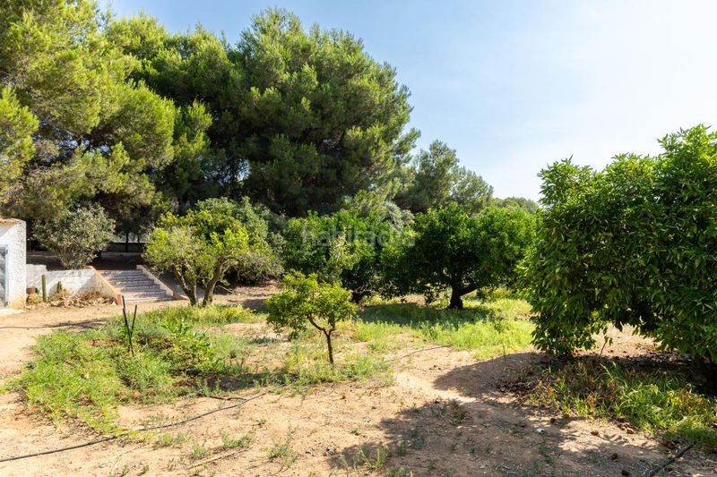 Foto ace4ec30-f98d-4e7b-9666-29a4bf06d22e. Casa amb calefacció aparcament piscina a Camí de Paterna-Lloma del Calderer Bétera