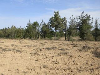 Terreno residenziale  Carretera de sant josep a sant antoni