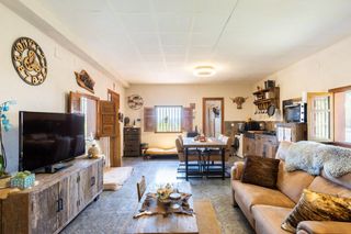 Maison  Diseminado p002