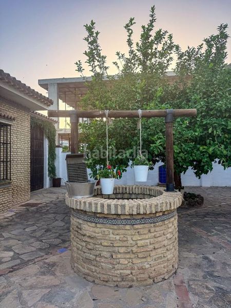 Foto 4b3e7ca1-ebc0-41d4-b261-47ccc84b987e. Casa amb calefacció aparcament piscina a Algodonales