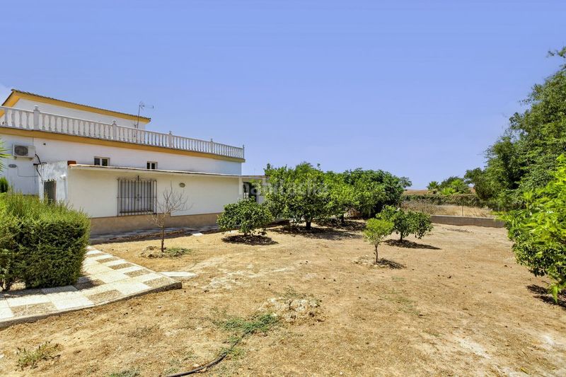 Foto 716e9f97-d708-4a3d-bfa2-c30dc53ed7de. Casa amb calefacció aparcament piscina a Carmona