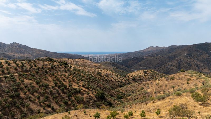 Foto 1cf36eeb-d782-4e1a-a9ef-9f6c7e046dde. Casa amb calefacció aparcament a alegría de la huerta- jardín de Málaga Málaga