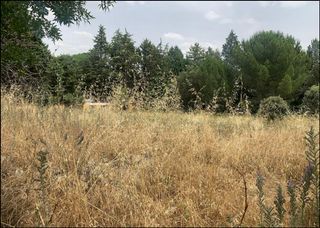 Residential Plot  Camino de los barrizales