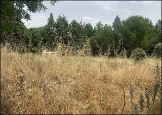 Residential Plot  Camino de los barrizales