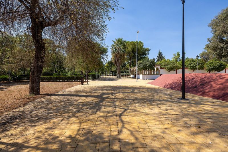 Foto fbed2d8a-ab17-42c7-9e8a-6a91d1a0a9eb. Casa amb calefacció aparcament a Pilas