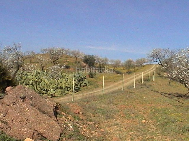 Foto 34fc7f93-5aaa-4c7b-b12e-969657877a93. Finca rústica a Sexmo Cártama