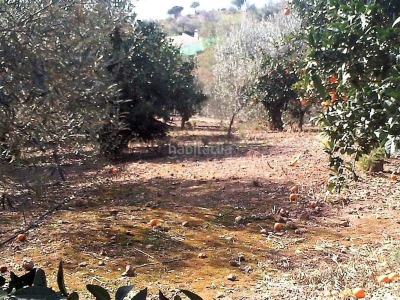 Foto 43fbd7b2-1806-4db8-b270-e74333f131e7. Finca rústica a Sexmo Cártama