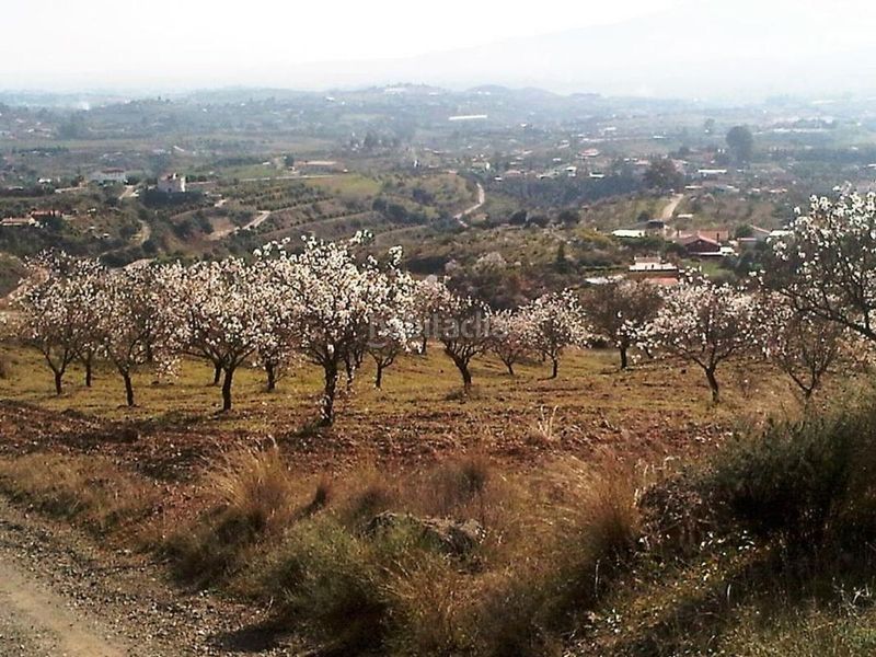 Foto 465de3cb-d2f2-4032-a0e3-7f0b99d3a9d1. Finca rústica a Sexmo Cártama