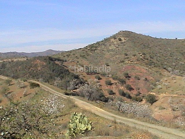 Foto 496516aa-a083-4d48-8808-5fd6a7512c52. Finca rústica a Sexmo Cártama