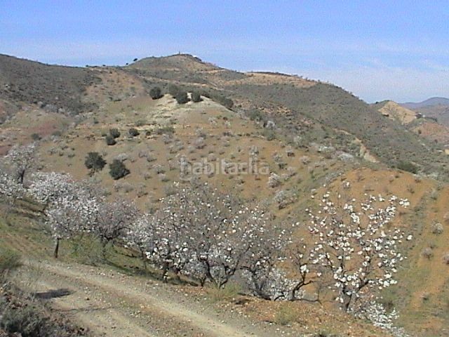 Foto 77d73f34-ea77-4bb0-9942-5bf47b3b9ccf. Finca rústica a Sexmo Cártama