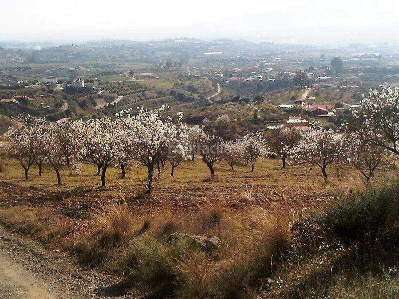 Foto ab40a728-c8dd-4d13-a375-2c5ffa1aa543. Finca rústica a Sexmo Cártama