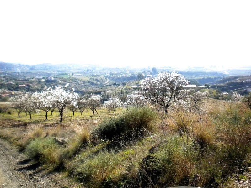 Foto d1b2965e-00e8-4257-903f-584261a48405. Finca rústica a Sexmo Cártama