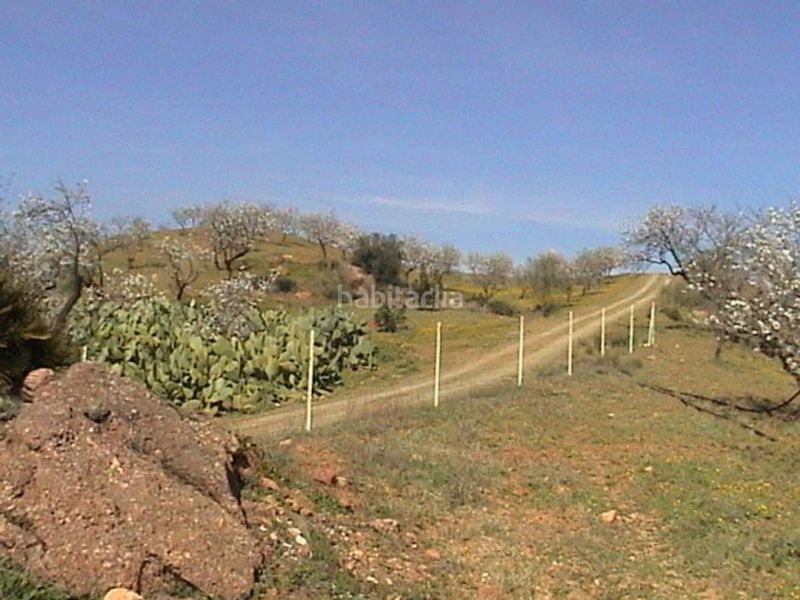 Foto dbf9387c-bf6d-41a7-af56-736b1c7e79f9. Finca rústica a Sexmo Cártama