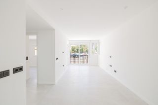 Flat  Calle asalto