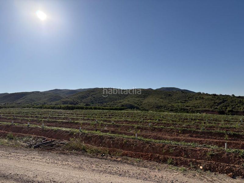 Foto c0c66203-4076-4679-ae74-fe8cb0a18d39. Masia amb calefacció aparcament piscina a Pedralba