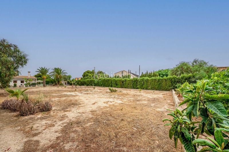 Foto db4531e1-117c-4d1e-ae65-4143125e1577. Casa amb calefacció aparcament piscina a La Algoda - Matola - Llano de San José Elche / Elx