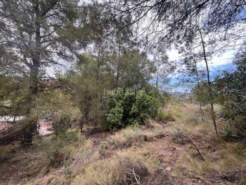 Foto 164d8843-30f8-4766-b472-2a49922b974d. Terreny residencial a Torres Torres