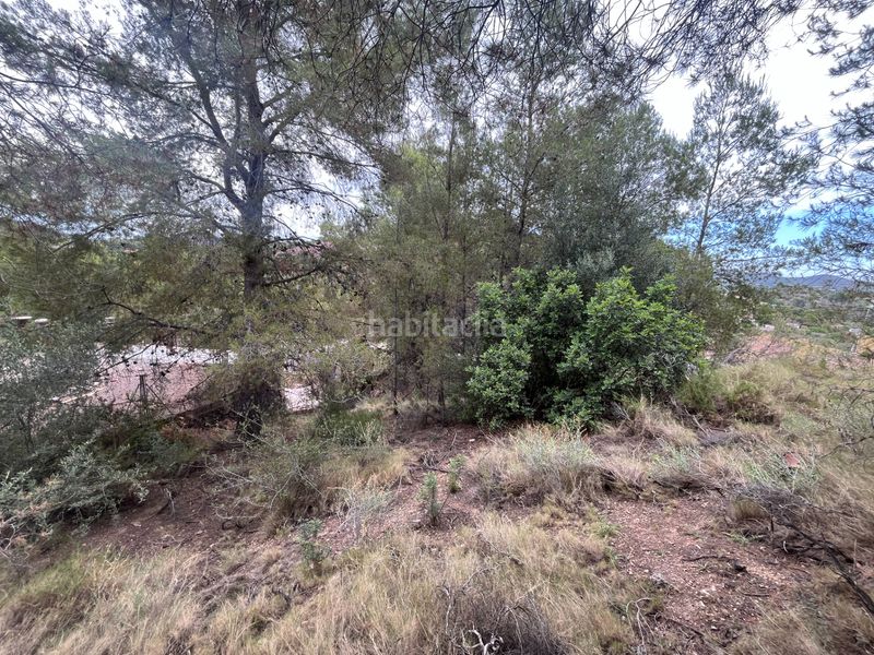 Foto 3ef5a9d4-7b3a-4512-97d7-369f12feb772. Terreny residencial a Torres Torres