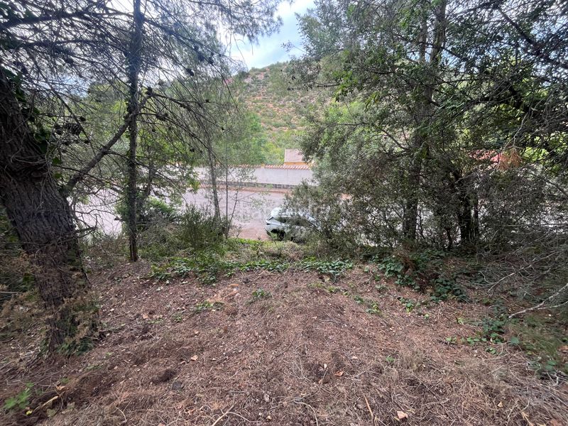Foto 5c5738ce-9151-4ad7-986f-f040f845cc21. Terreny residencial a Torres Torres