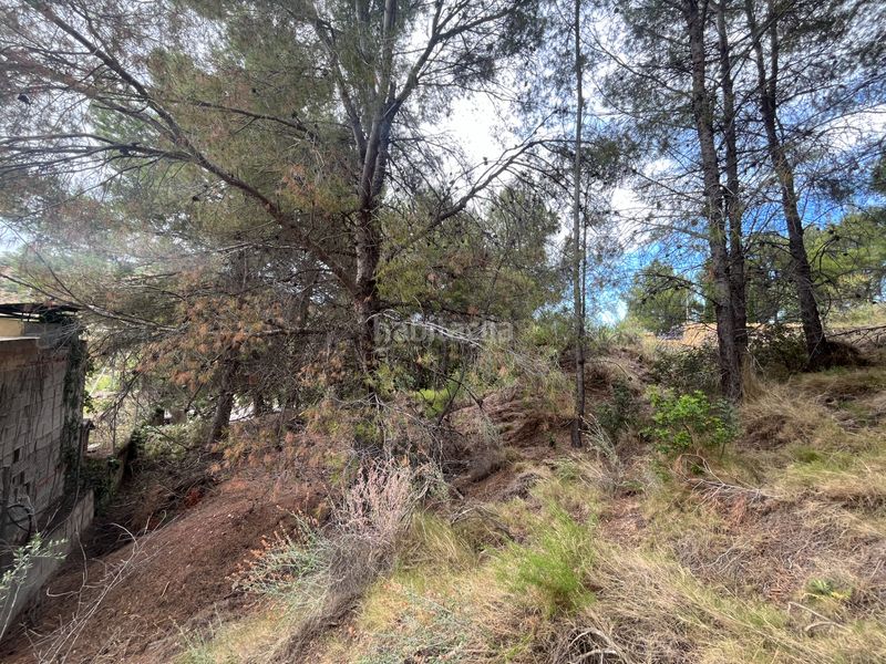 Foto 693a205c-1d7c-4110-b819-b18910cf55ab. Terreny residencial a Torres Torres