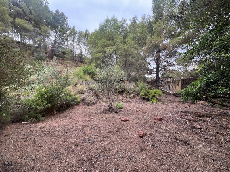 Foto 9b8dd140-f60d-48a3-ae3c-51eff82b4b2a. Terreny residencial a Torres Torres