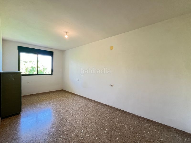 Foto a4dd26c6-9887-4089-8603-92877dfb456b. Pis a Faura