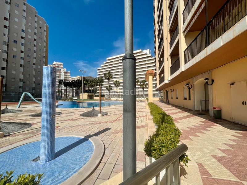 Foto 390eb539-e9c7-4729-8240-a5511bca1298. Appartamento con piscina in Racó Cullera